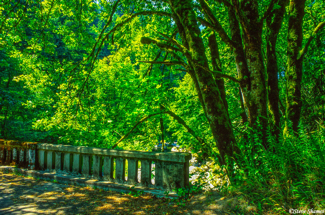 A lush green bridge scene, close to the Hood River.