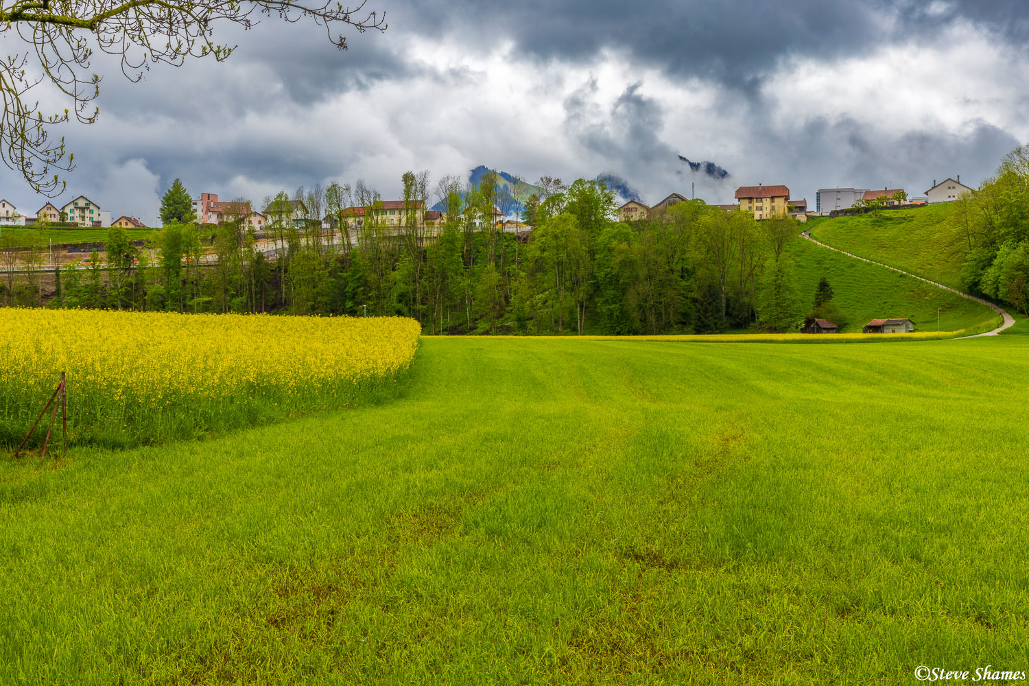 A farm scene in Broc, close to the chocolate factory.