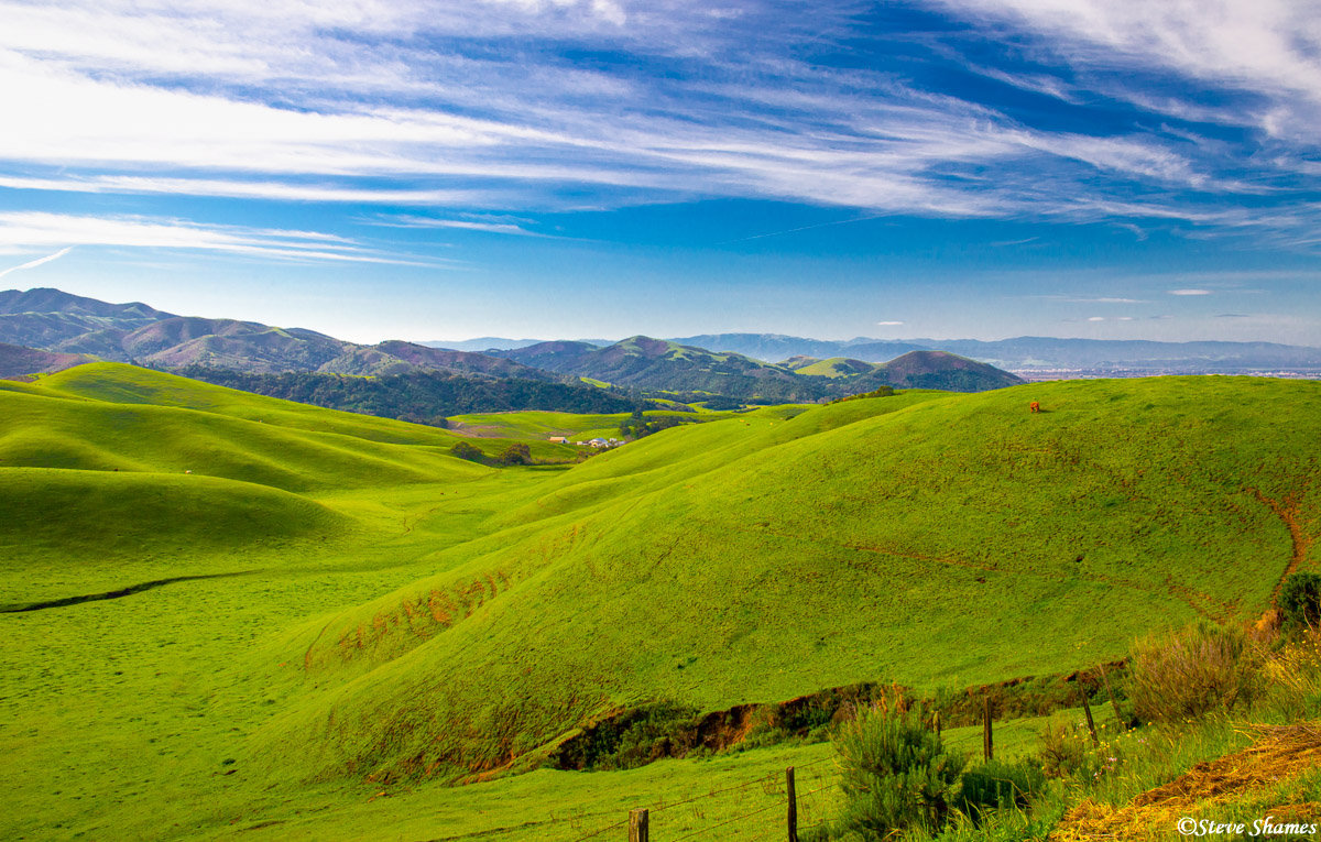 Mountains Foothills Steve Shames Photo Gallery