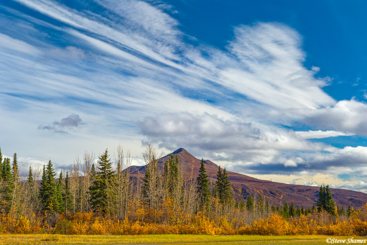 We stopped in the tiny town of Cantwell for lunch. The clouds made a very impressive background for the mountains.