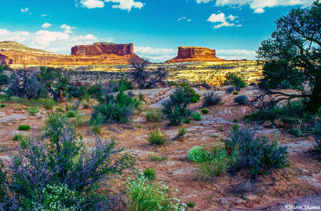 Twin buttes at Canyonlands.