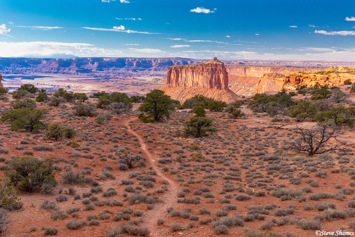 I like this scene of the trail leading to the cliff looking over the butte.