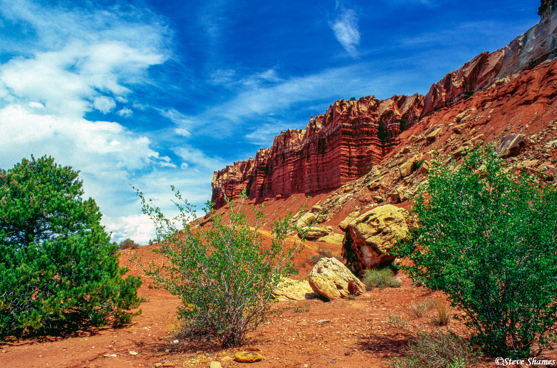 Scenic cliffs at Capitol Reef National Park.