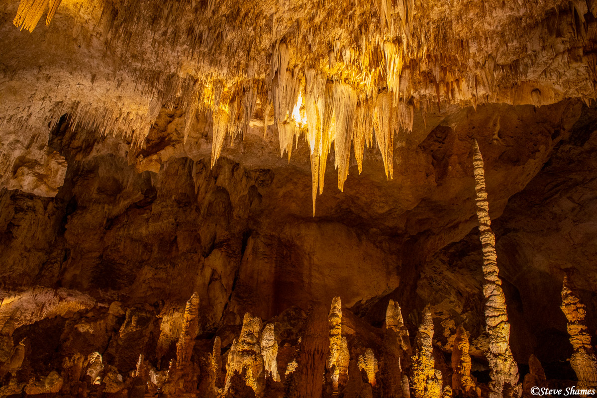 The stalactites are the ones that form on the ceiling.