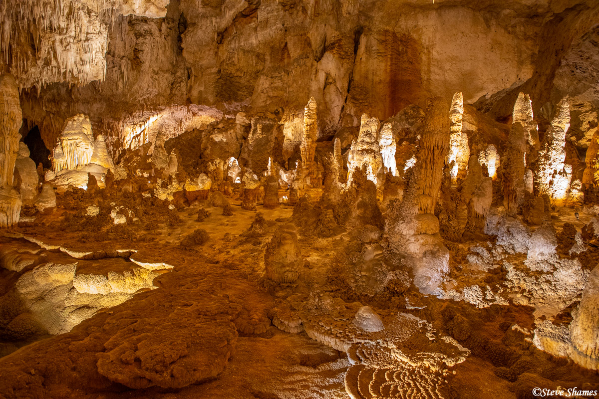 The stalagmites are the ones that form on the floor