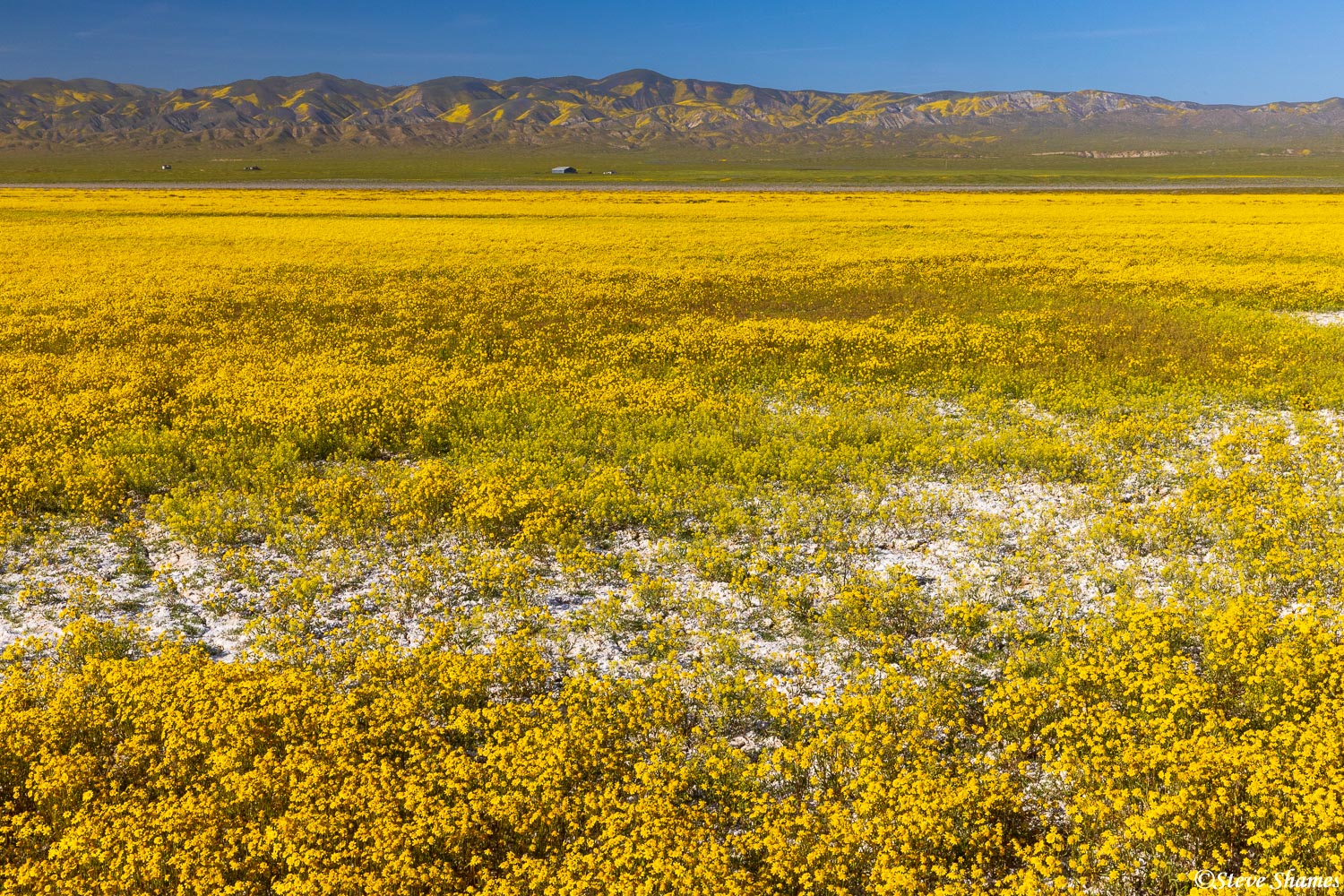 Carrizo Plain scene. That building in the distance gives some context to the scene.