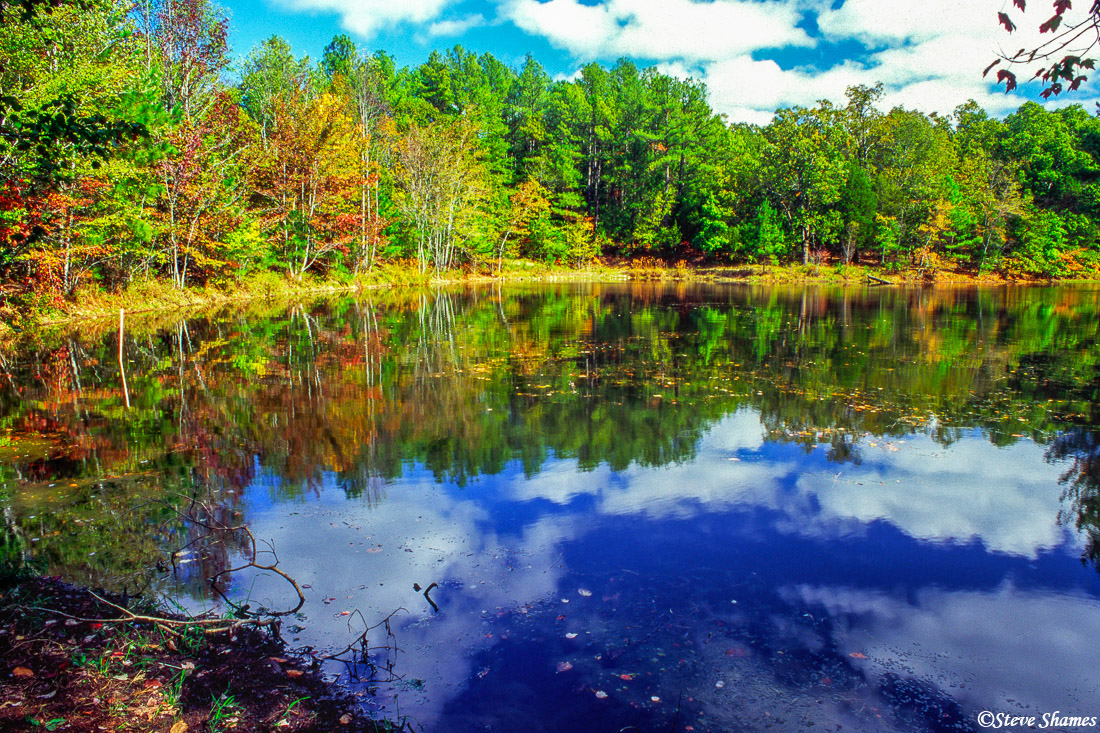 Along the road known as “The Trace” in "The Land Between the Lakes" in Kentucky, was this nice looking pond.