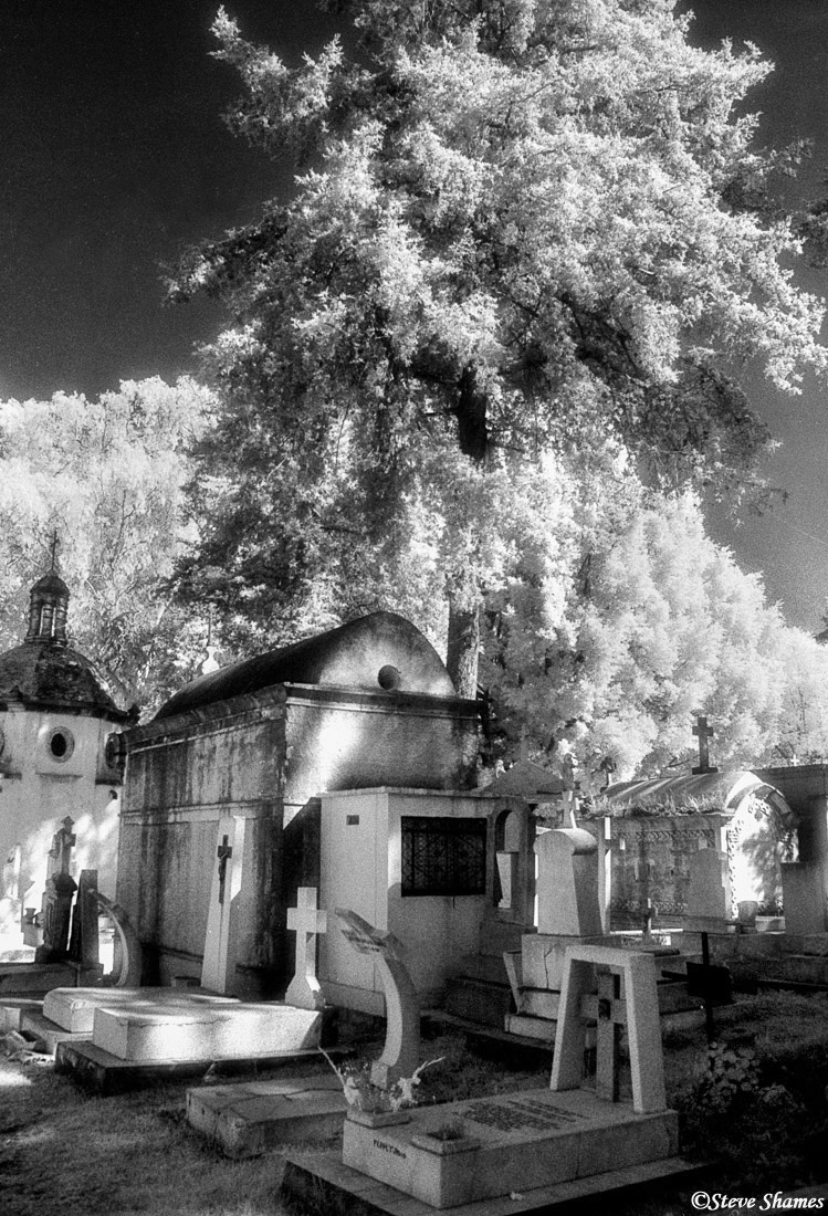 Infrared film is especially good for photographing the sights at an old fashioned cemetery.