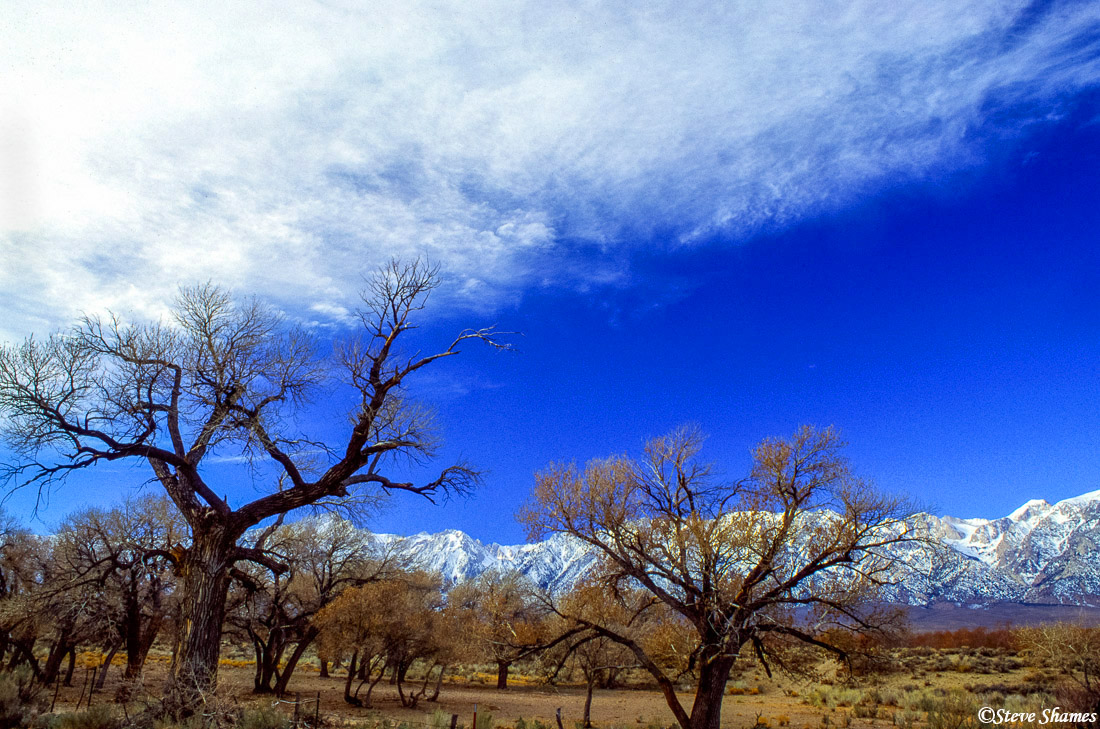 This scene was off a dirt road, outside the town of Lone Pine.