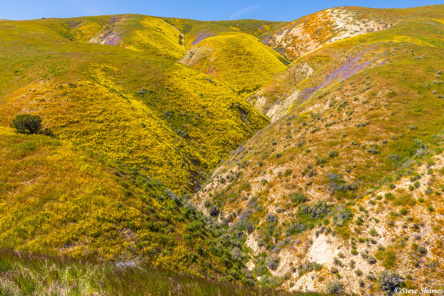 Here are some colorful Carrizo hills, close to the south entrance.