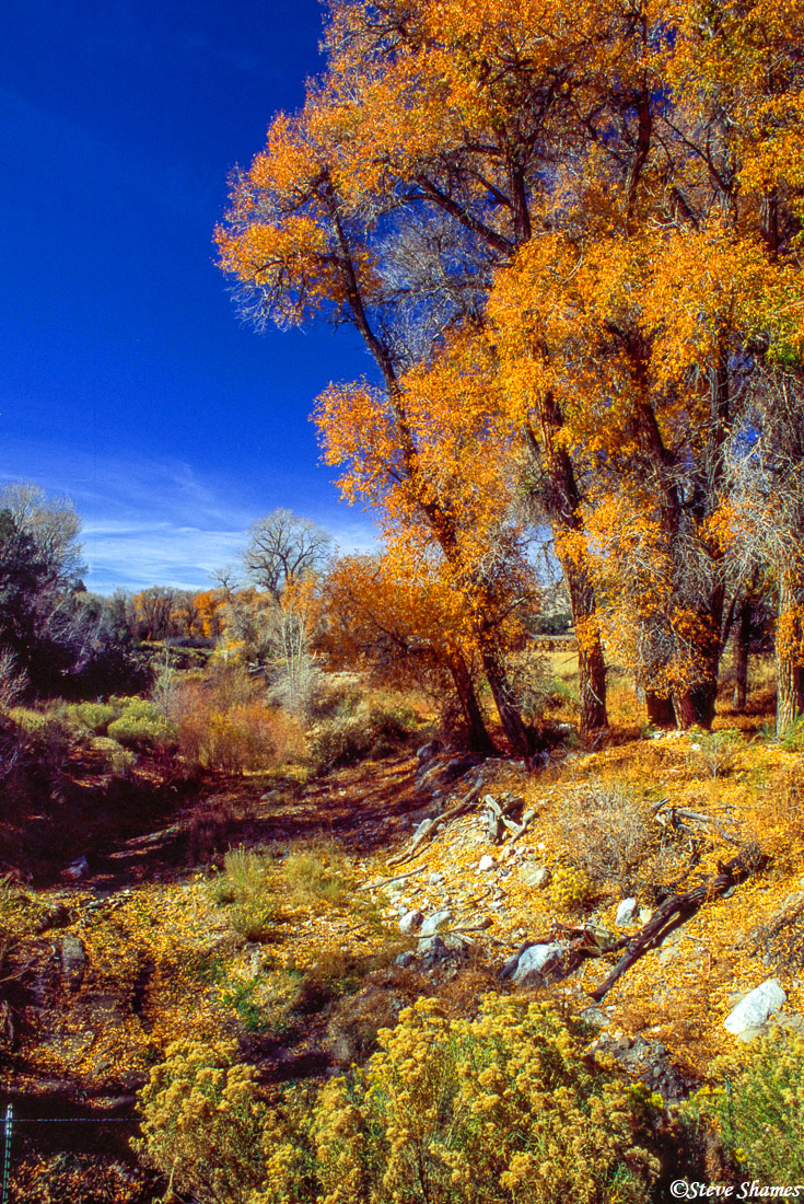 The fall colors were really in bloom in some parts of Colorado.