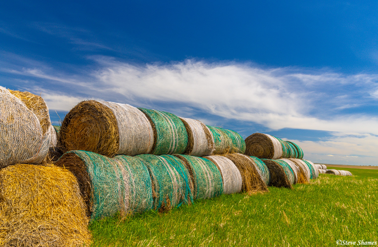 I like these colorful round hay bales -- something you don't see in California.