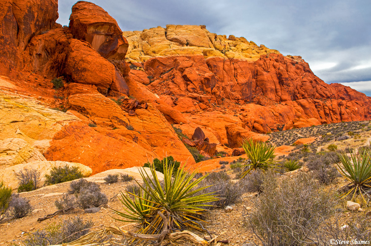 There is a wide swath of red slicing through these rocks.