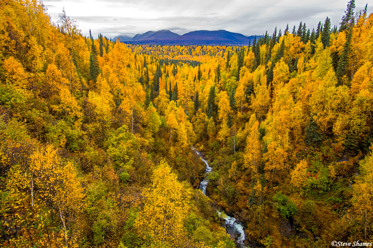 Fall colors along the highway. This was one of the countless creeks in Alaska.