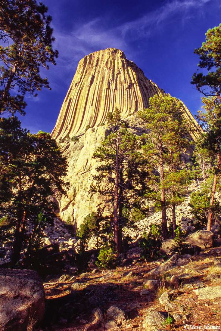Devils Tower stands all alone, 1267 feet high.&nbsp;