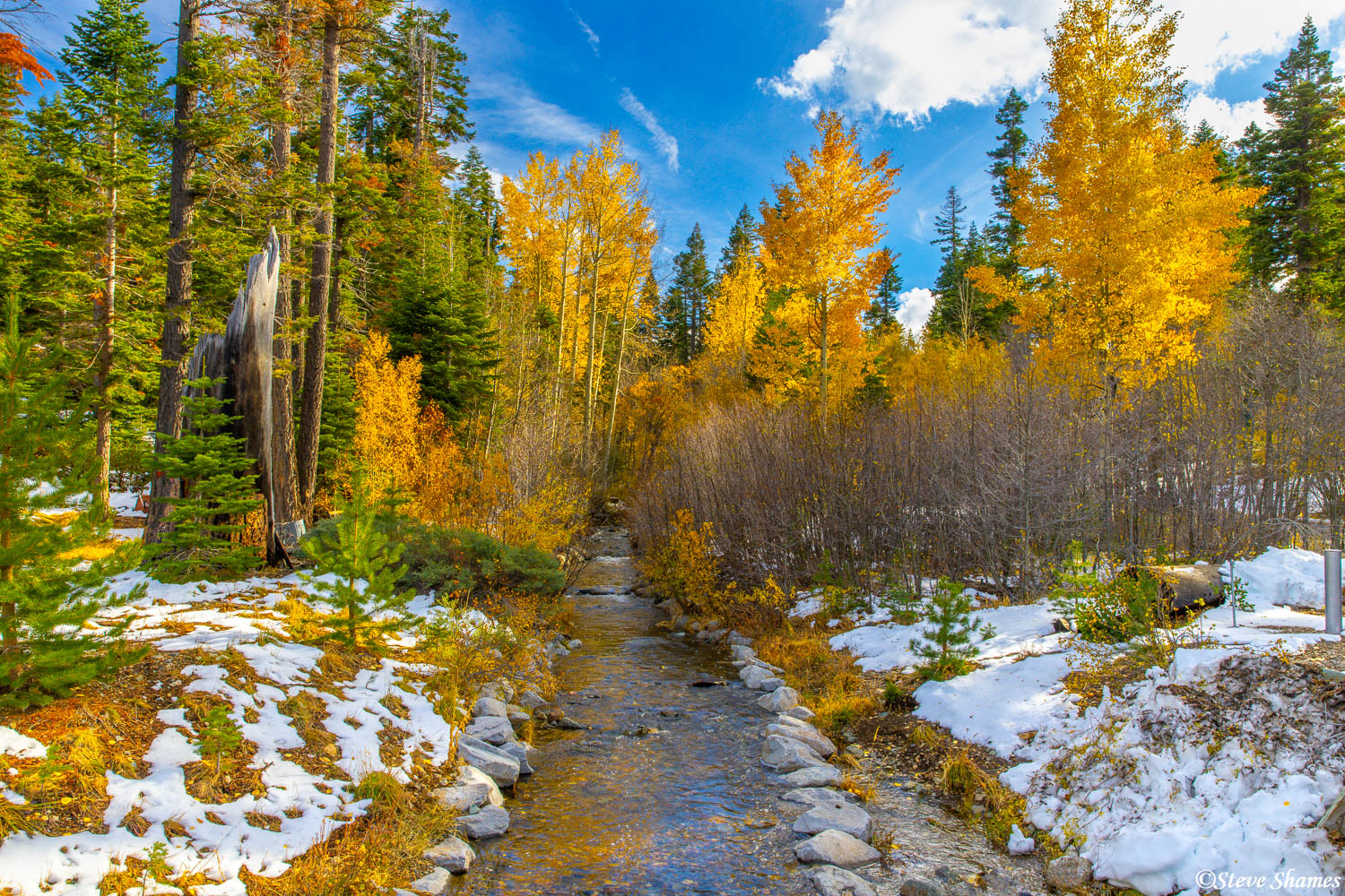 I saw this nice colorful winter scene on Fallen Leaf Road, right next to Lake Tahoe.