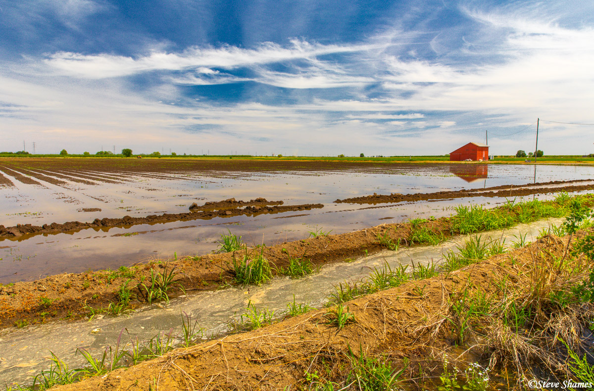 This view of the flooded field caught my eye. That red farm building and that great sky really add to the scene.