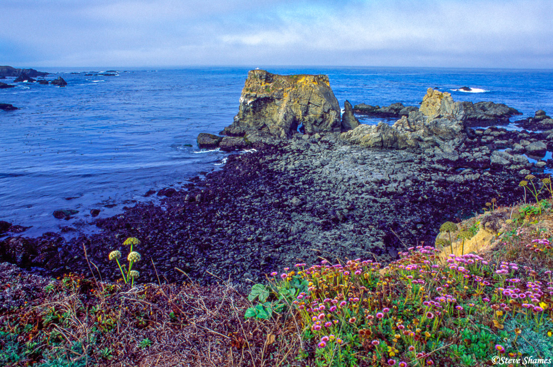 This Pacific coast scene, was just south of the town of Fort Bragg.