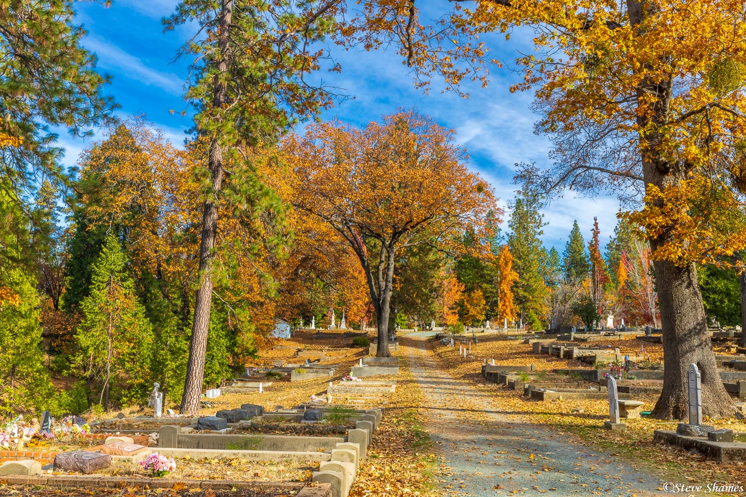 Georgetown Cemetery in the Sierra foothills.