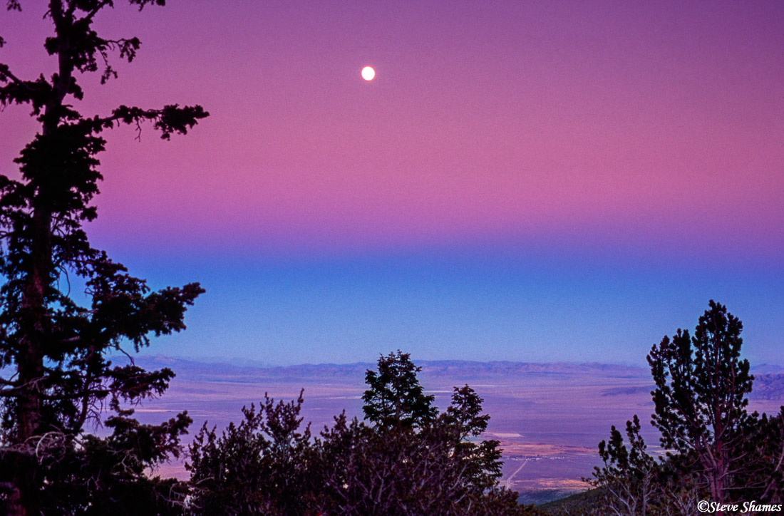 There was a layer of pink on top of a layer of blue. That is common on the eastern horizon right after the sun sets.