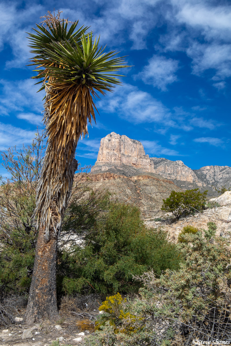 A view of the Guadalupe Mountains in West Texas.