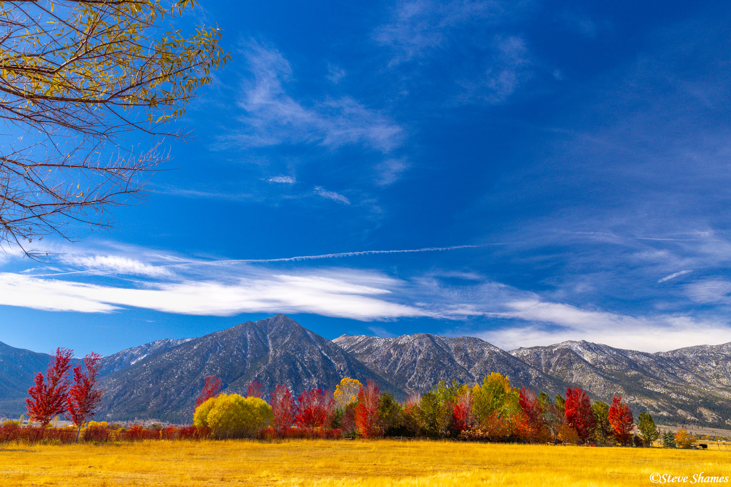 Fall colors and mountains along Highway 88 in Nevada.