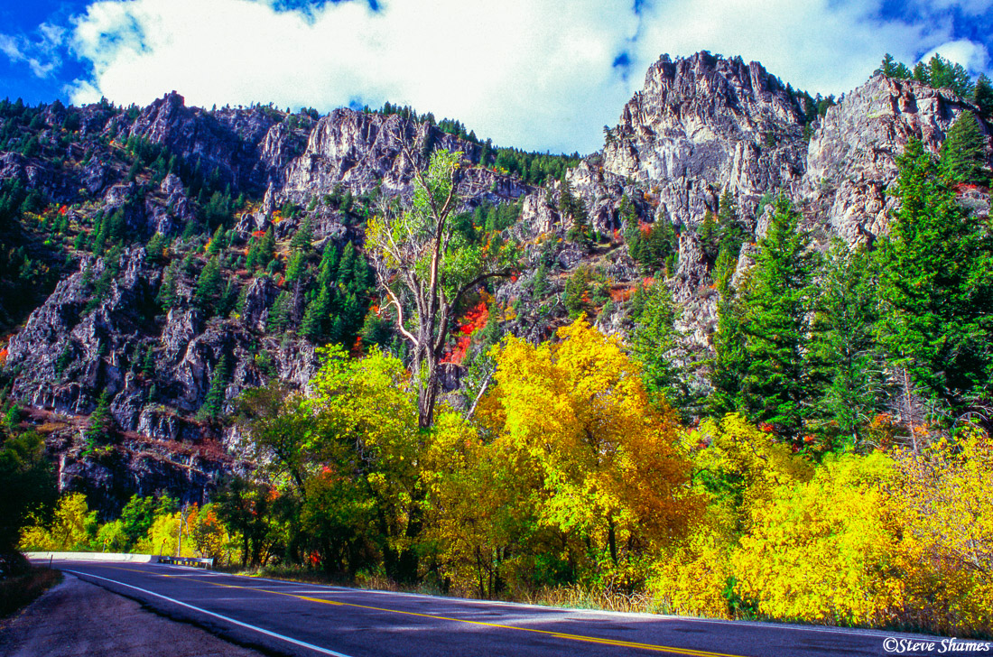 The highway through Logan Canyon.