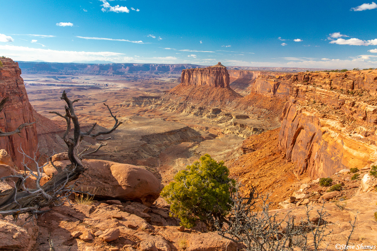 One of the vistas at Canyonlands - Holeman Spring Canyon overlook.