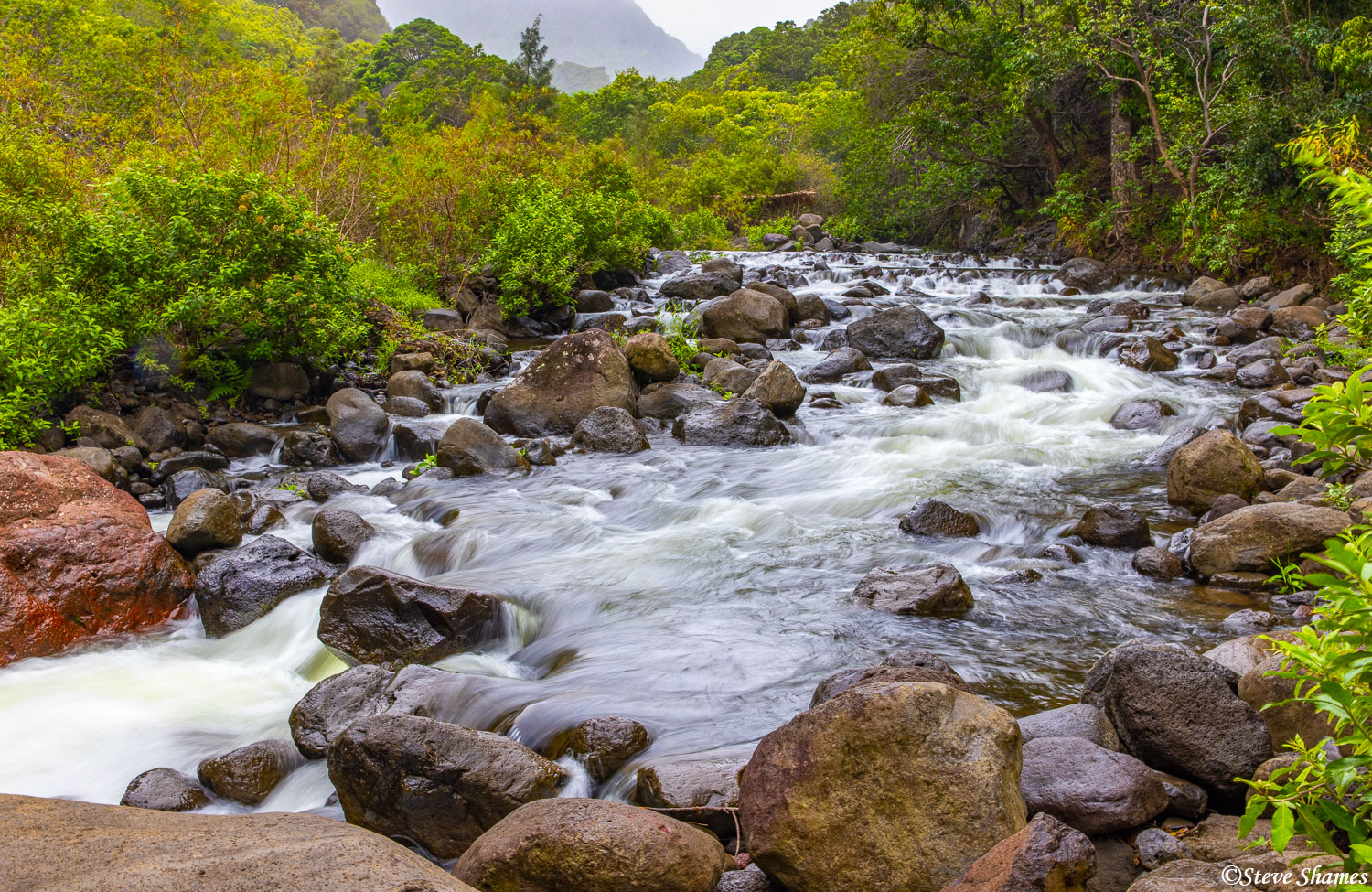 Here within Iao Valley State Monument in west Maui, several babbling streams run through it.