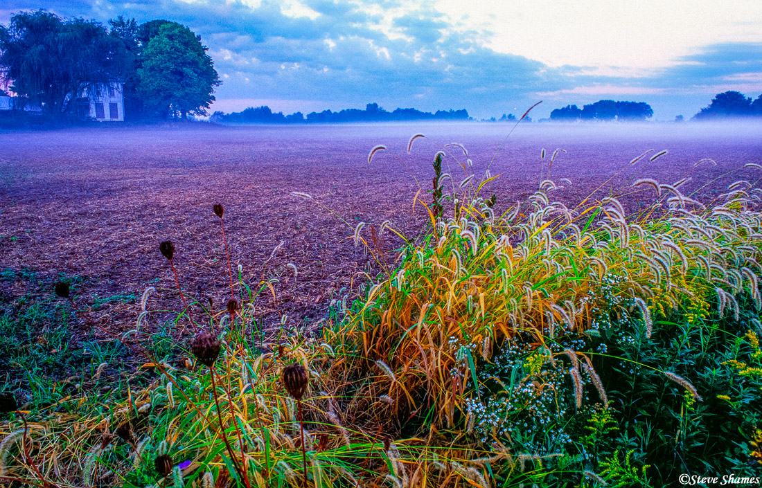Right after sunrise, there was a low lying mist clinging to the fields that I found quite appealing.