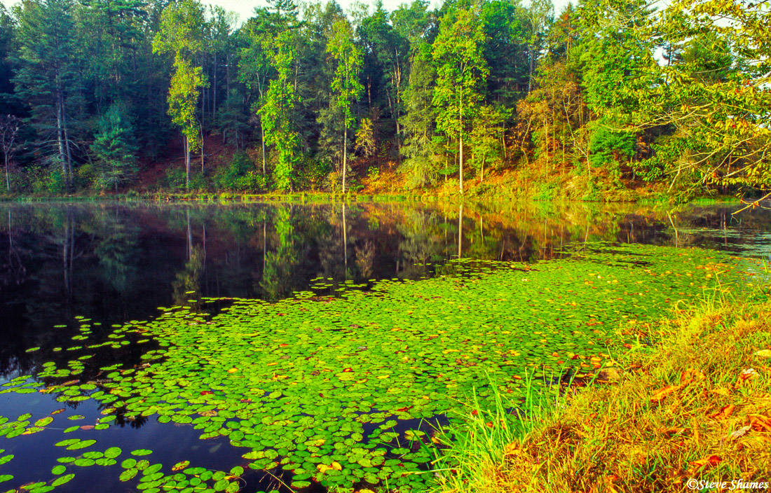 James River Blue Ridge Parkway, Steve Shames Photo Gallery