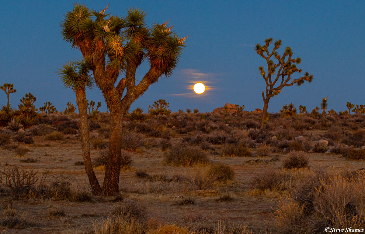 Then just after the sun goes down -- the full moon comes up.