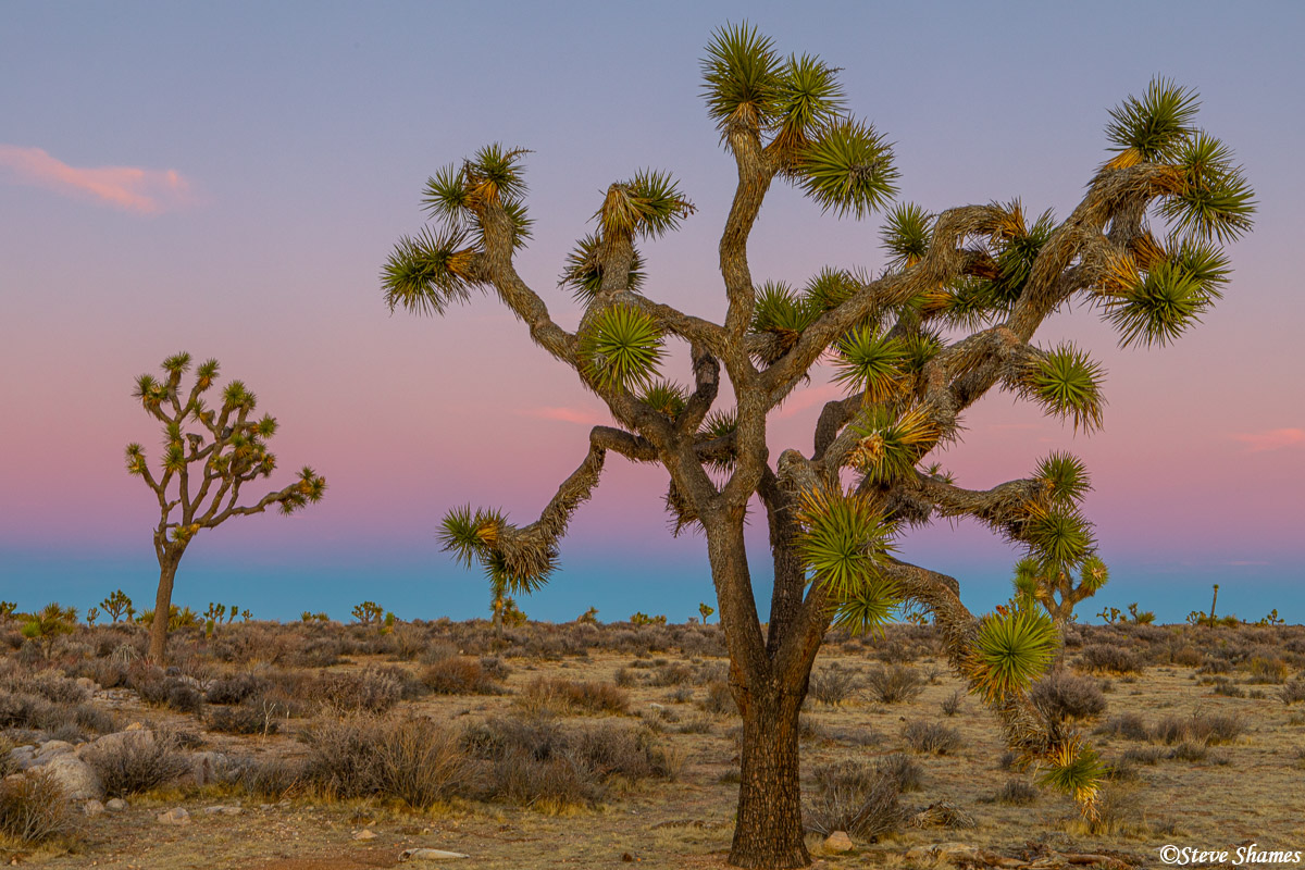 Twilight is fleeting, but it can be very beautiful.