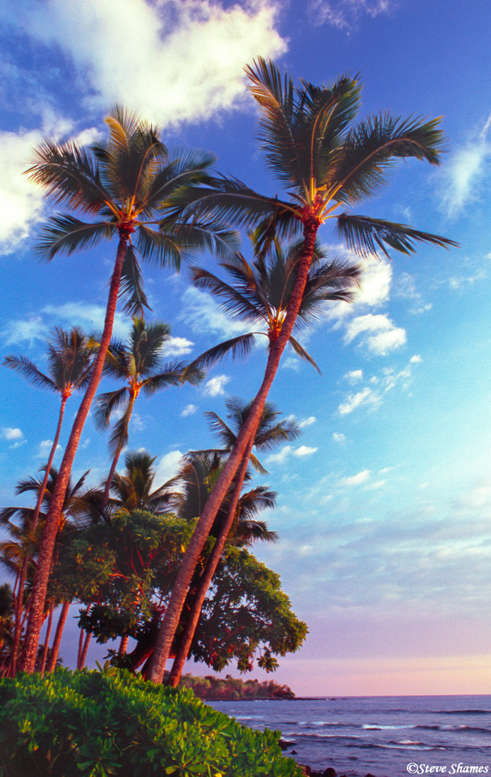 This picture was taken in Kailua-Kona during the best light ... just before sunset.