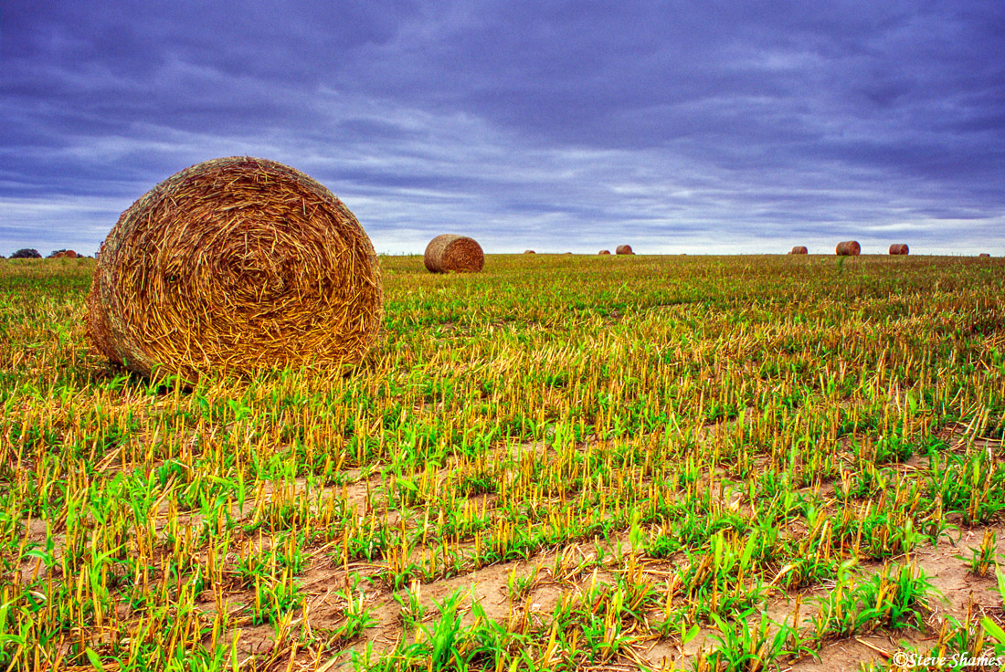 Bales of hay under a dark Kansas sky.