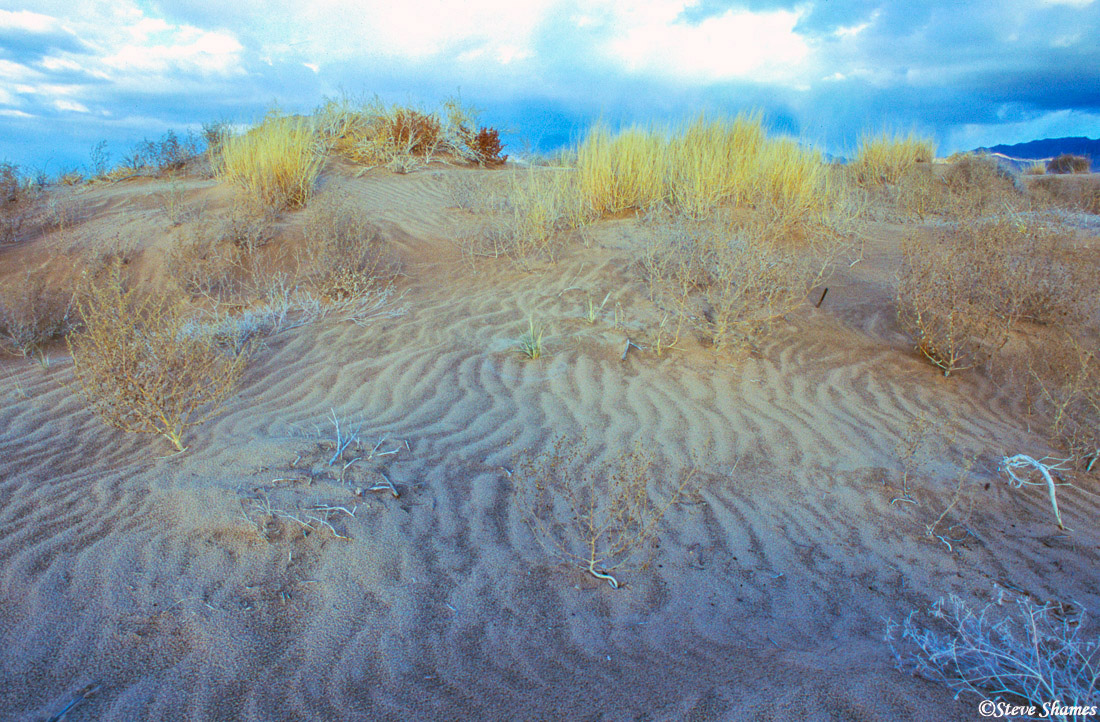Rippled sand in the Kelso Dunes of the Mojave Desert.
