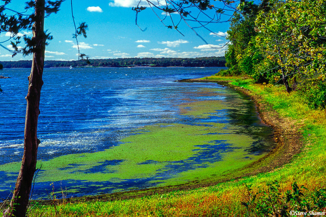 Kentucky Lake - which is a wide part of the Tennessee River, due to a dam.