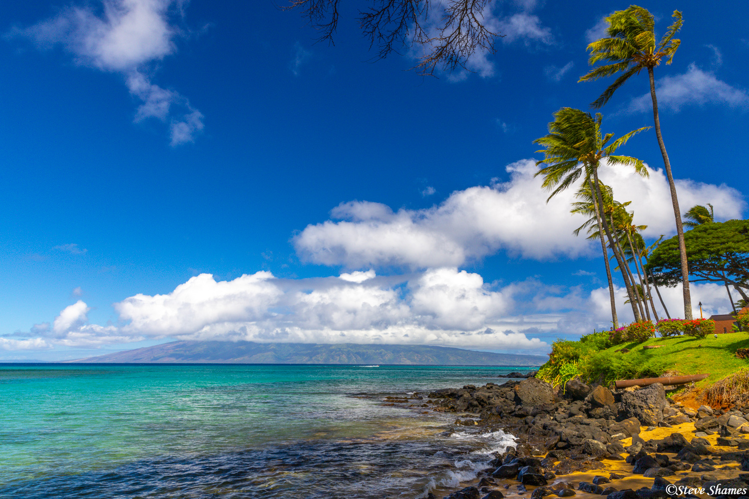 A view of the coastline at Lahaina, Maui. The palm trees always enhance the view.