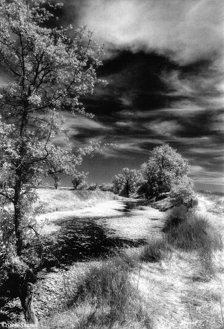 This pleasant valley scene really showcases the black and white infrared look.