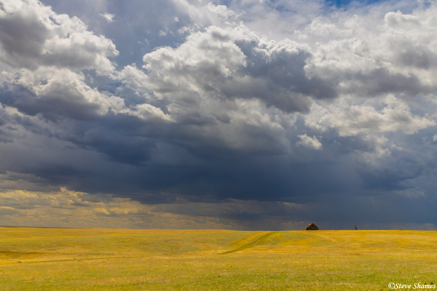 I thought of the TV series "Little house on the prairie" when I saw this scene. I love that ominous looking sky. We had a quick...