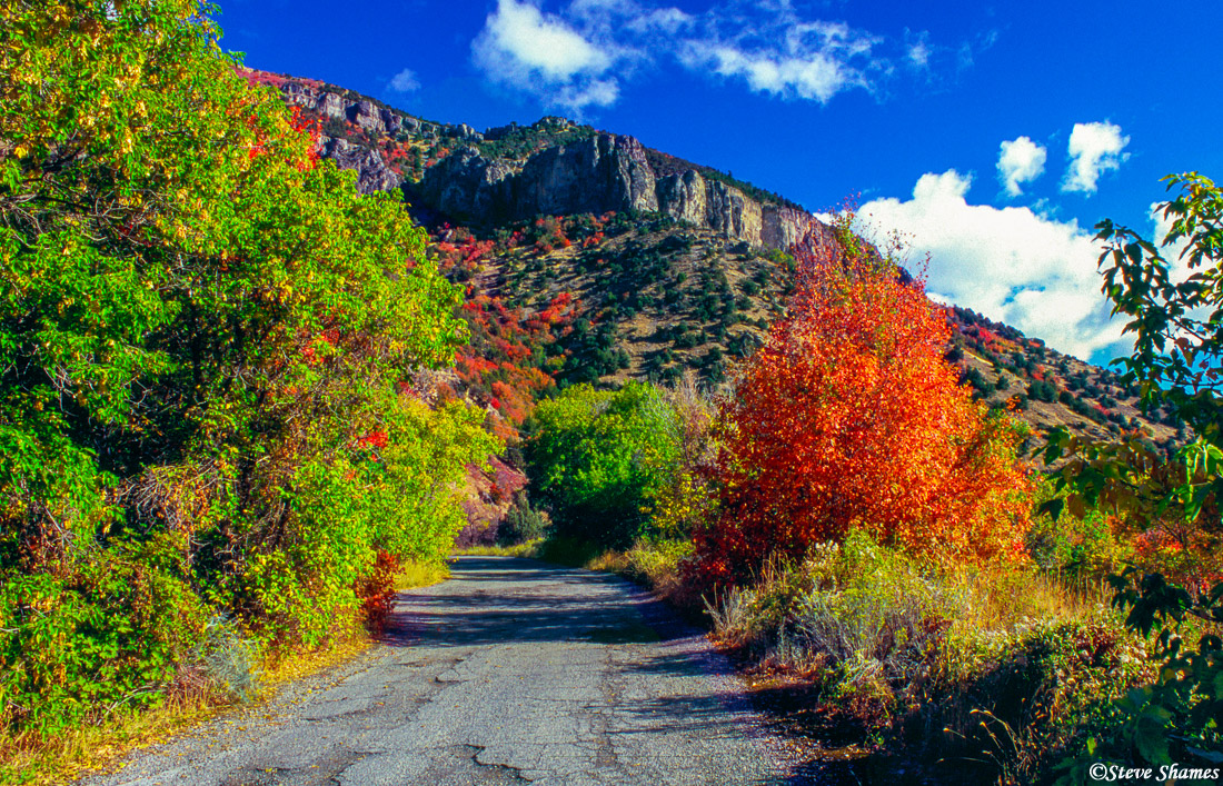 Logan Canyon, Utah. This is a very scenic spot of the state, especially when the fall colors are in season.