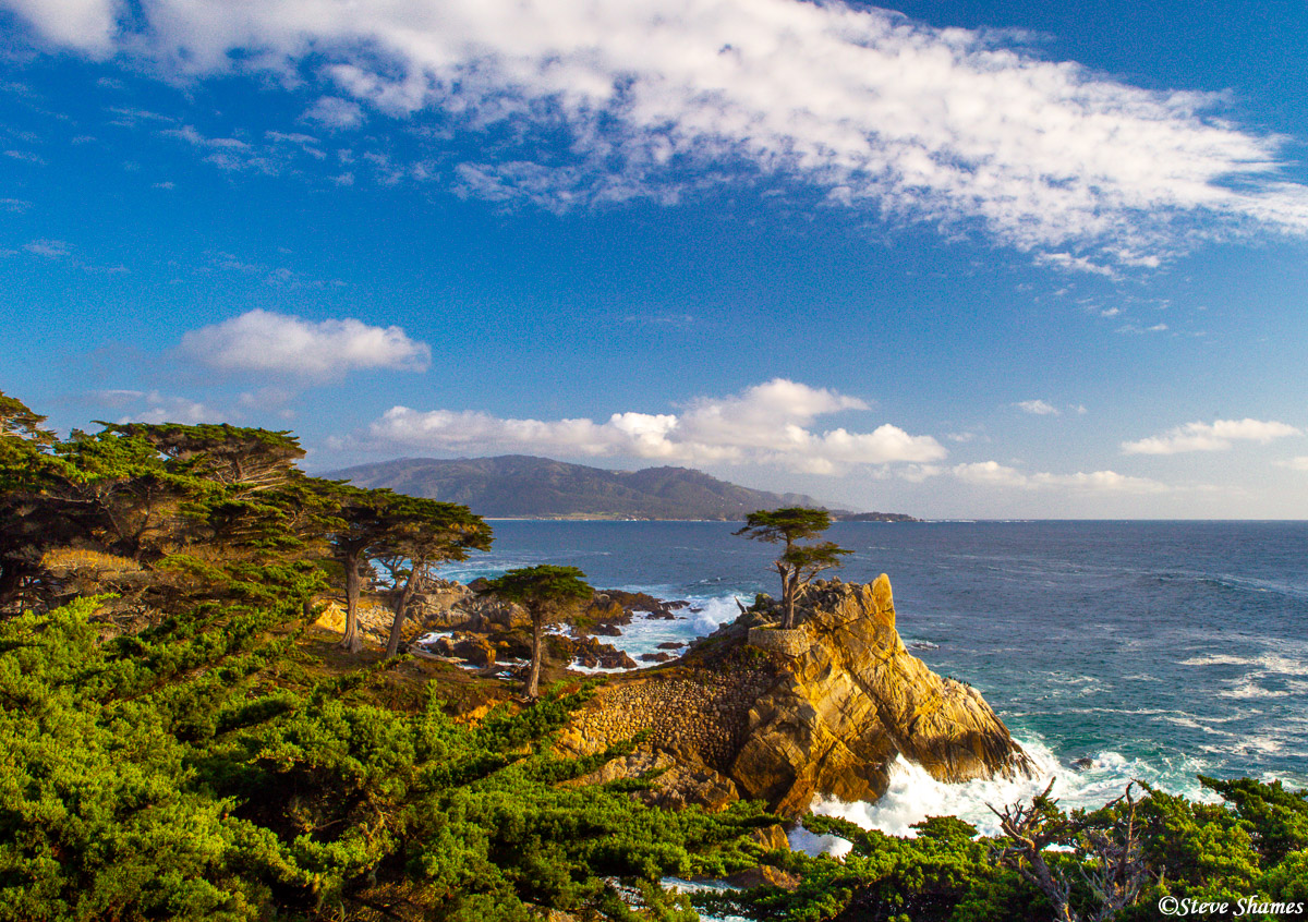 And here we have the famous Lone Cypress tree on the scenic 17 mile drive around the Monterey Peninsula.