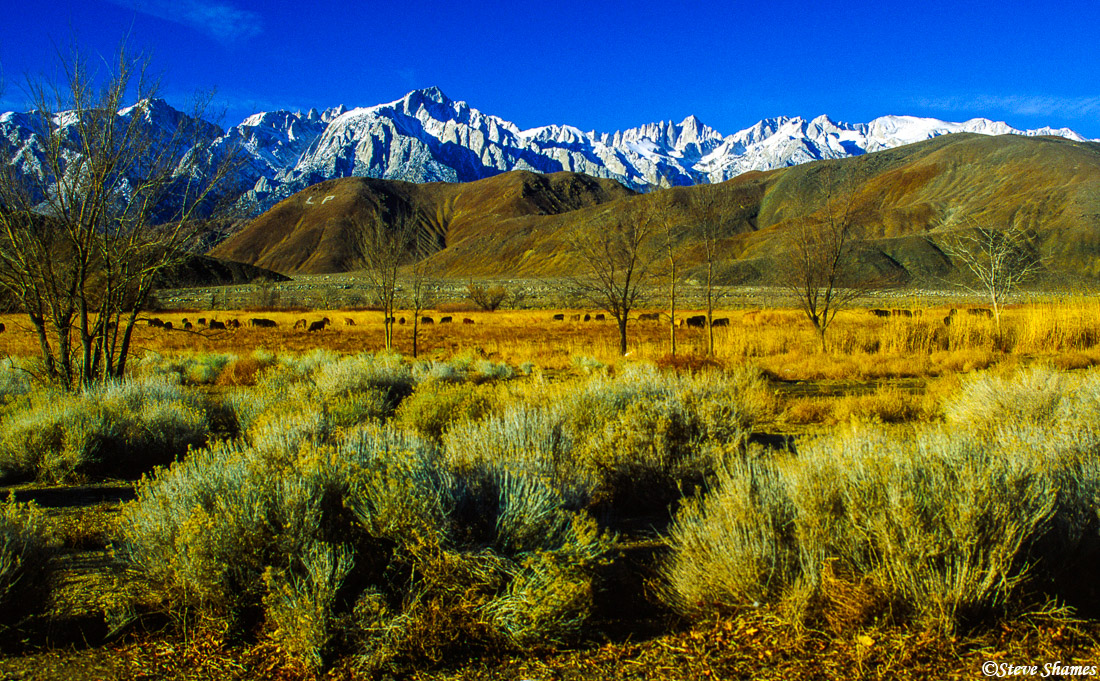 Lone Pine California Lone Pine, California Steve Shames Photo Gallery