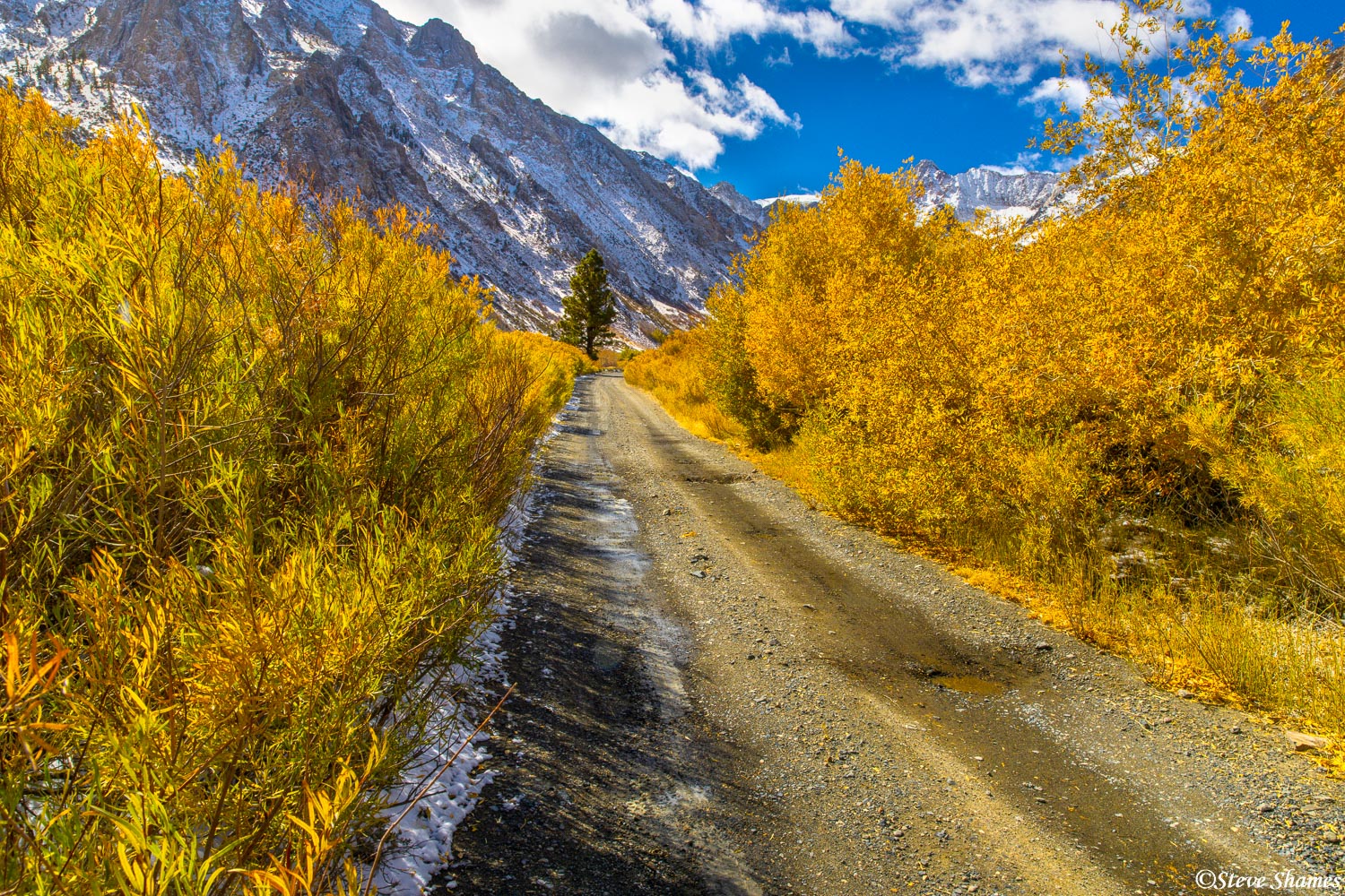 I thought this colorful scene along McGee Creek Canyon Road was worthy of a picture!