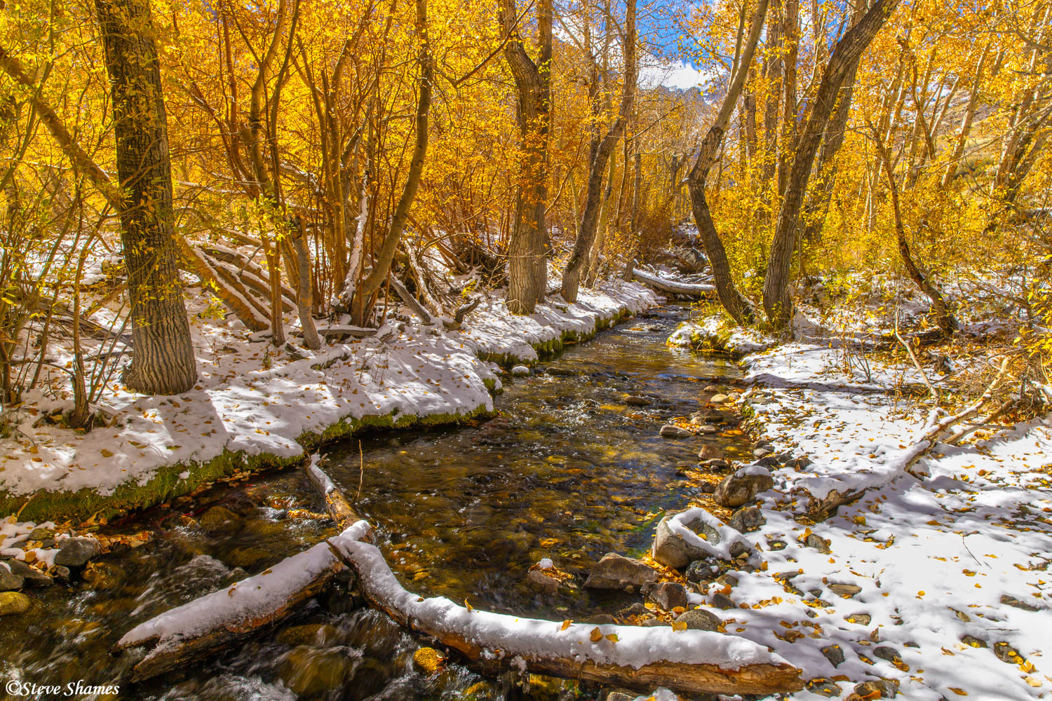 Color lined McGee Creek after snowfall.