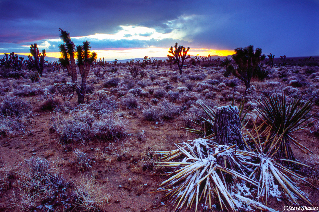 Snow in the desert.