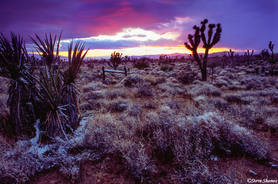 Winter sunset with a dusting of snow, at Mojave National Preserve.