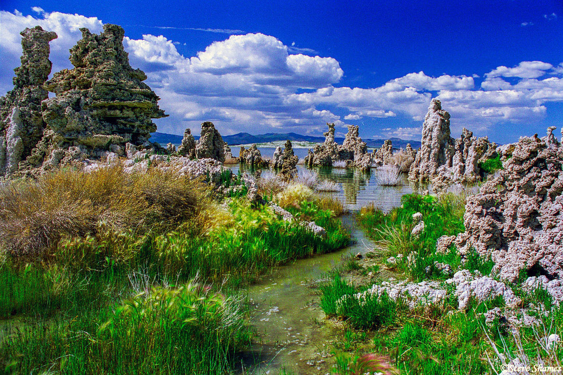 Mono Lake, with its tufa forest. This is quite a remarkable place.