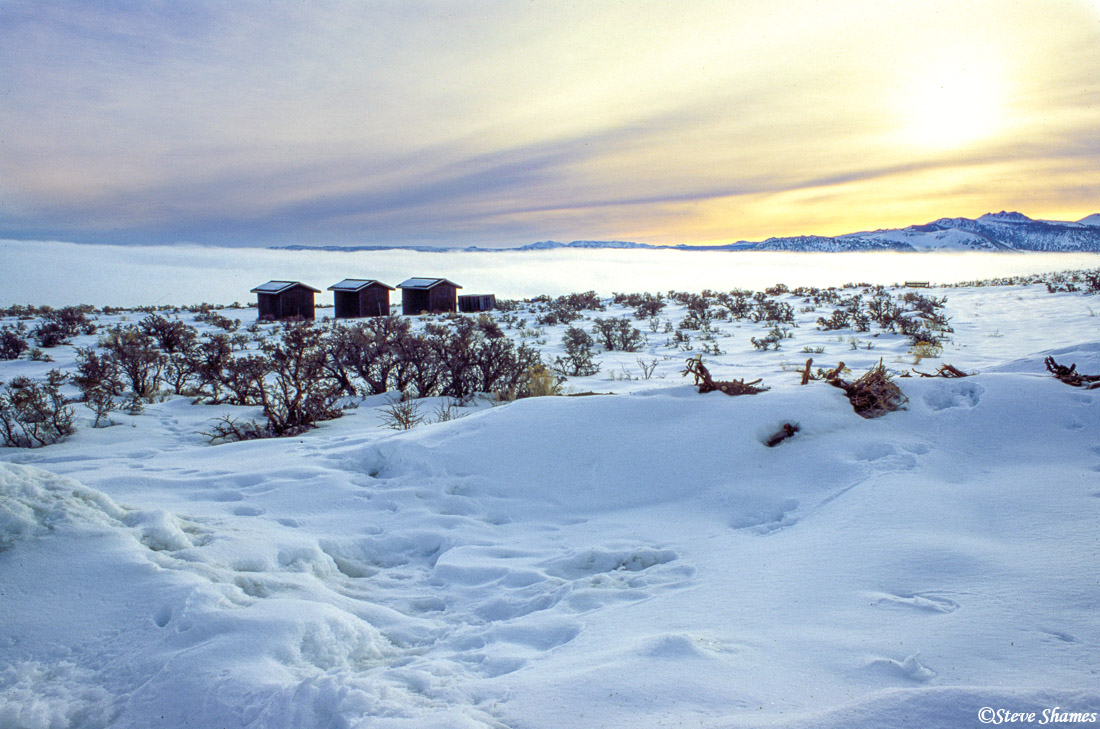 In the early morning, Mono Lake was covered with a thick layer of fog, and everything else was covered with a thick layer of...