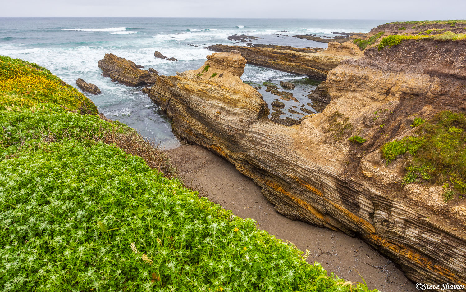 Montana de Oro State Park, just south of Morro Bay in central California.